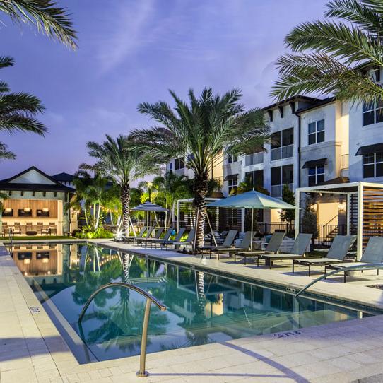 酒店泳池的背景是棕榈树